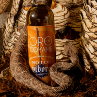 <transcy>Sotol Vibora</transcy>