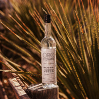 <transcy>Sotol Blanco - Joven</transcy>