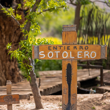 General Access / Sole Burial
